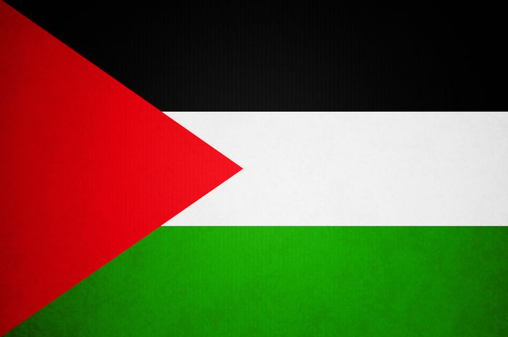 فلسطين – غزة